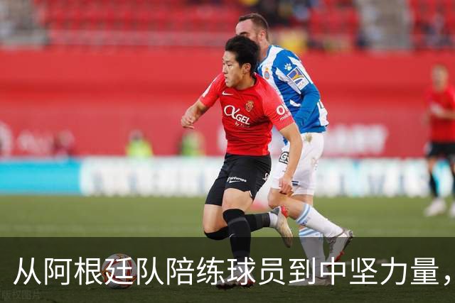 从阿根廷队陪练球员到中坚力量，用了8年时间，悍将诠释天道酬勤