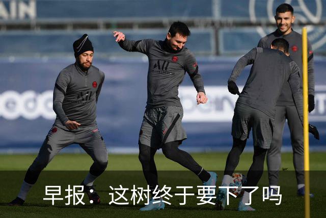 早报：这树终于要下了吗