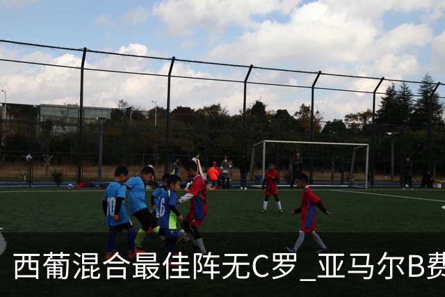 西葡混合最佳阵无C罗 亚马尔B费领衔奥亚萨瓦尔在列