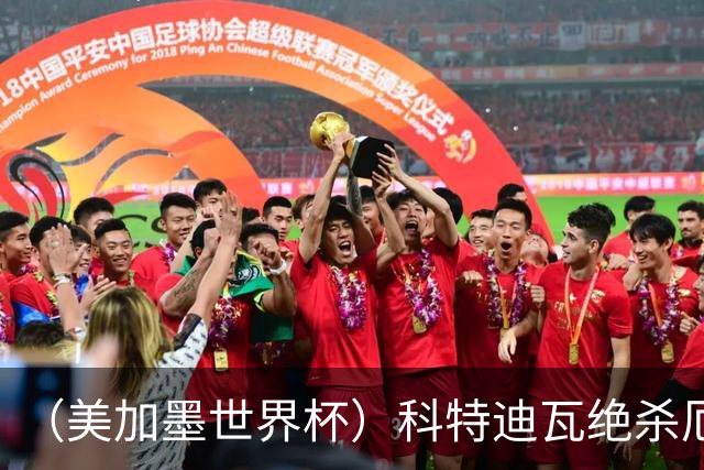 （美加墨世界杯）科特迪瓦绝杀厄瓜多尔 瑞典5:1大胜突尼斯